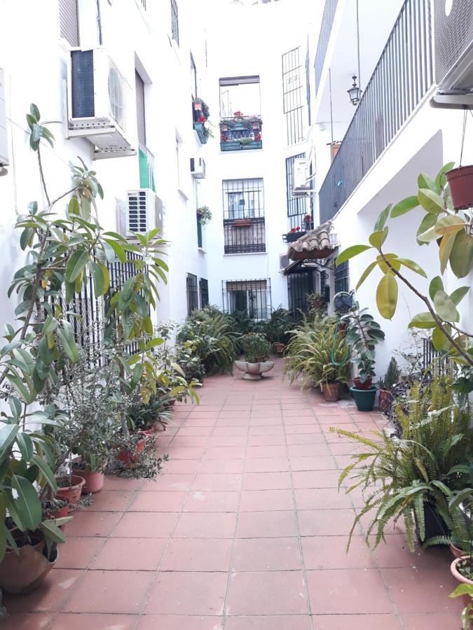 Apartamento Pleno Centro Wallada Кордова Экстерьер фото